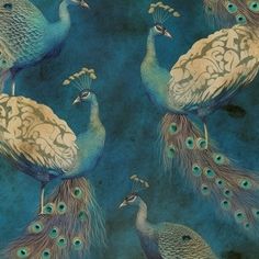 a group of peacocks standing next to each other on top of a blue surface