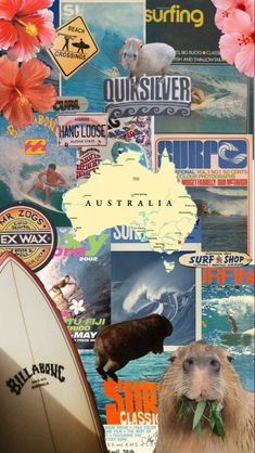 a collage of pictures with animals and surfboards on it's sides, including an australian map