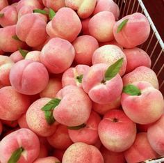 a basket full of peaches with green leaves