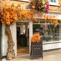 a storefront with flowers hanging from it's windows