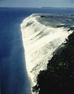 an aerial view of the ocean and beach from above, with trees on both sides