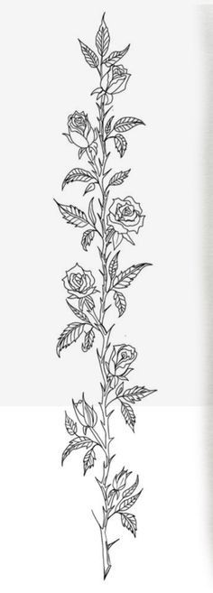 Full Body Rose Vine Tattoo, Roses Spine Tattoo, Rose Spine Tattoos For Women, Marian Tattoo, Rose Spine Tattoo, Rose Vine Tattoos, Rose Tattoo On Back, Tattoo Espalda, Around Arm Tattoo