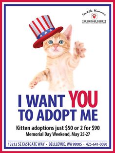 a poster with an image of a cat wearing a hat and the words i want you to adopt me