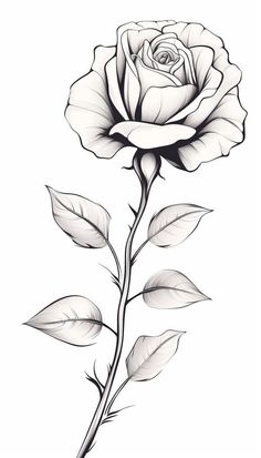 a black and white drawing of a rose