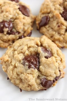 three chocolate chip cookies on a white plate