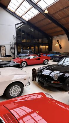 there are many different cars in this garage