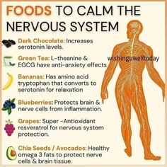 Calm The Nervous System, The Nervous System