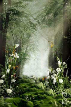 an image of a foggy forest with flowers and moss growing on the ground in front of it