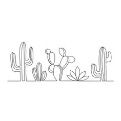 a line drawing of cacti and succulents