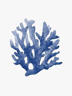 a blue coral on a white background