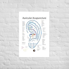 Acupuncture Charts, Ear Seeds, Acupuncture, Massage, Seeds, Digital Download, Digital Prints