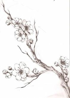 a drawing of a branch with flowers and a bird flying over the top of it