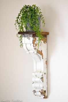 a potted plant sitting on top of a wooden shelf next to a white wall