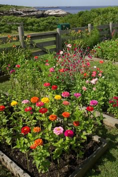 a garden filled with lots of flowers next to a wooden fence and ocean in the background