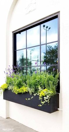 a window sill filled with lots of plants next to a white wall and windowsill