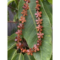 a long necklace with flowers is hanging from a leafy branch in front of some green leaves