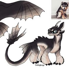 an image of a cute little black and white dragon with big wings on it's back