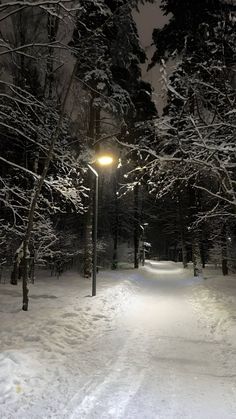 a snowy path in the woods at night with street lights and trees on either side