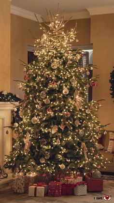 christmas tree ideas Classy Christmas Tree, Themed Trees, Classy Christmas, Christmas Tree Inspiration, Gold Theme, Ultimate Christmas, Festive Look, Christmas Tree Ideas, Christmas Tree Themes