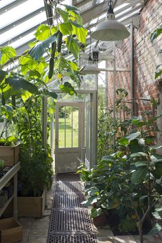 the inside of a greenhouse with lots of plants