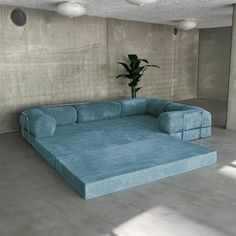 a large blue couch sitting in the middle of a living room next to a potted plant