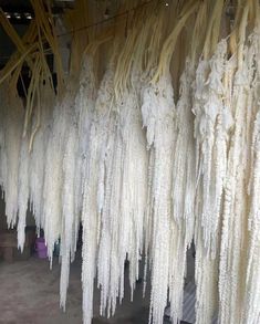 some white flowers hanging from the ceiling