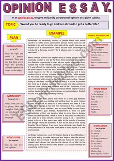 an opinion paper with the words opinion in english and spanish, which includes information about opinion