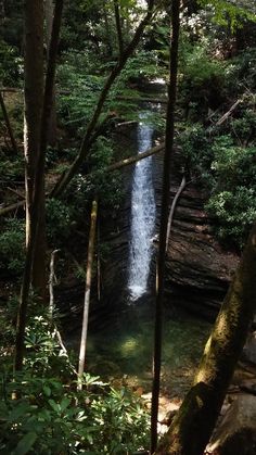 a small waterfall in the woods surrounded by trees