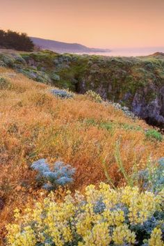 the sun is setting over an open field with wildflowers and cliffs in the background