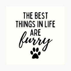 the best things in life are furry