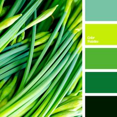 green color palette with grass in the middle and blue on the bottom, along with other shades