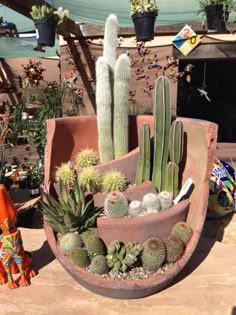 a potted plant sitting on top of a wooden table next to other pots and plants