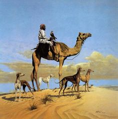 a man riding on the back of a camel in the desert with several dogs around him