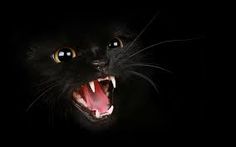 a black cat with its mouth open and it's teeth wide open in the dark