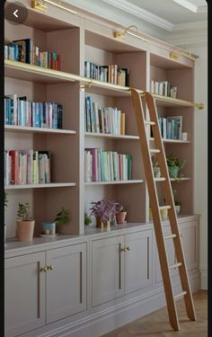 a ladder leaning up against a bookshelf filled with books