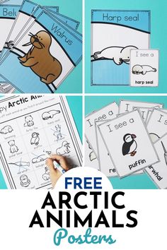 free arctic animals posters and activities for kids to learn about the polar animal in their homes