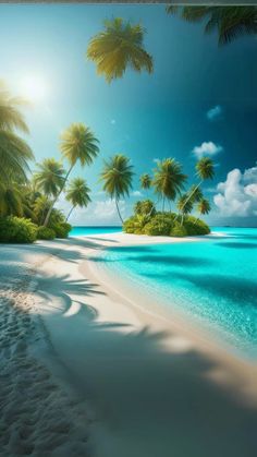 an island with palm trees on the beach