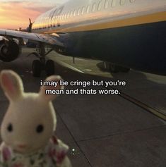 a stuffed rabbit sitting in front of an airplane with the words i may be cringe but you're mean and thats worse