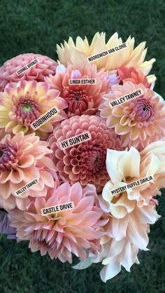 a bunch of flowers with names on them