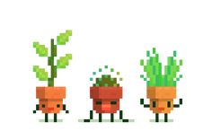 three plants in pixel art style with one plant growing out of the ground, and another plant