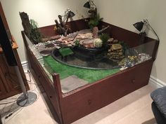 a fish tank filled with rocks and plants on top of a green carpeted floor