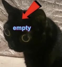 a black cat with the word empty written on it's forehead and an arrow pointing up