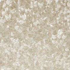 a white and beige wallpaper with small leaves on the top right hand corner, as well as an area rug in the middle