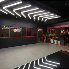 an empty room with red and black lighting on the ceiling, and potted plants