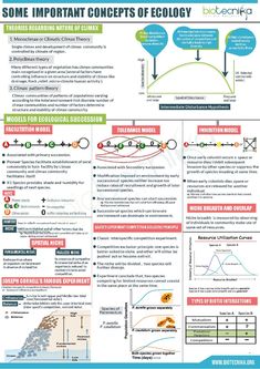 a poster with information about the effects of energy