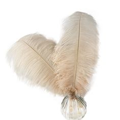 a white feather sitting on top of a glass vase