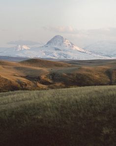 a large mountain with snow on it's top is seen in the distance from a grassy field