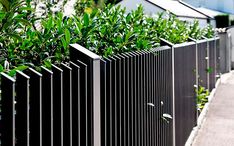 Aluminum Vs Metal Fences Garden Railings, Aluminum Fencing, Front Gate Design, Steel Fence, Wrought Iron Fences