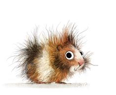 a drawing of a small furry animal with big eyes and long hair on its head