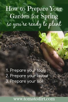 someone is planting lettuce in the soil with text overlay how to prepare your garden for spring so you're ready to plant